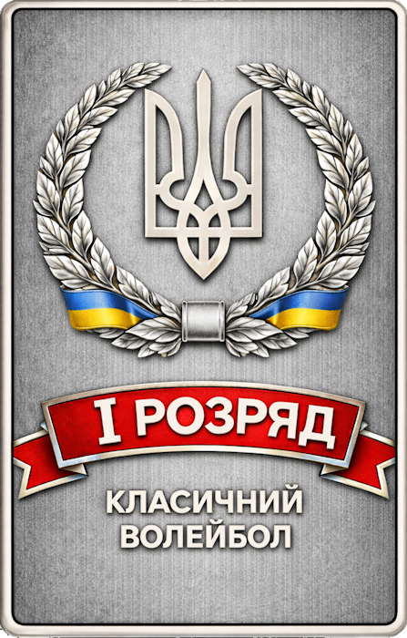 1 розряд з волейболу