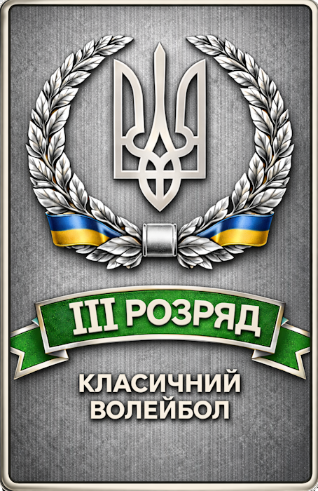 3 розряд з волейболу