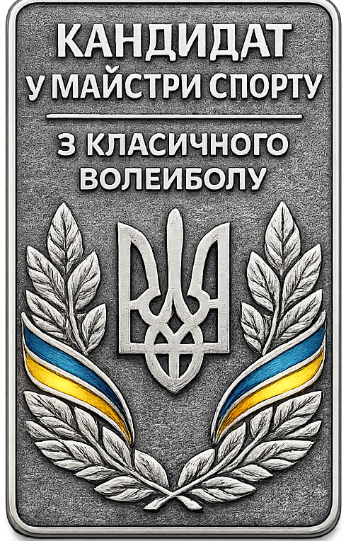 Кандидат у майстри спорту з волейболу